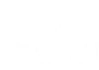System Professional